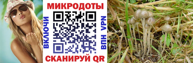 Псилоцибиновые грибы GOLDEN TEACHER  Волжский 